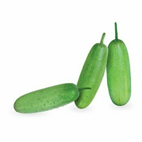 10 Benih Biji Timun WUKU