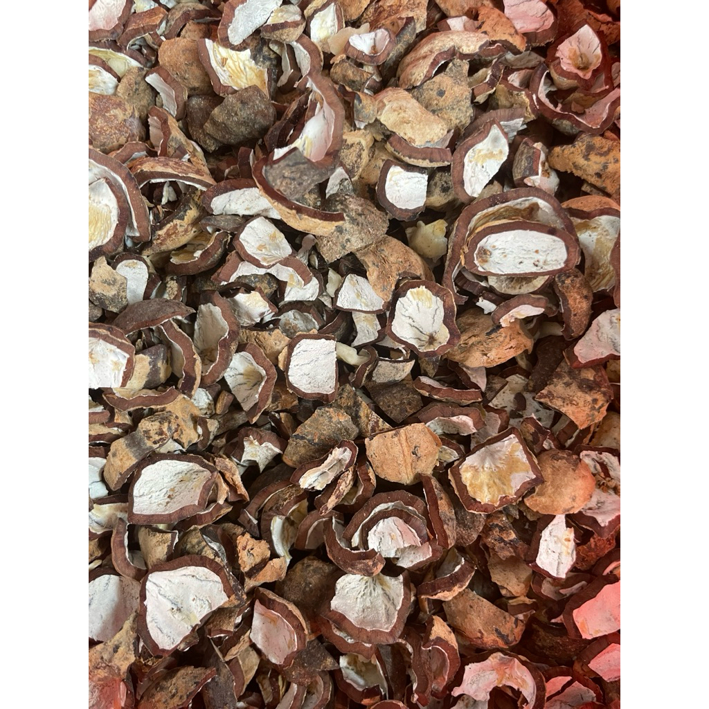 Cangkang Kulit Kemiri / Batok Kemiri