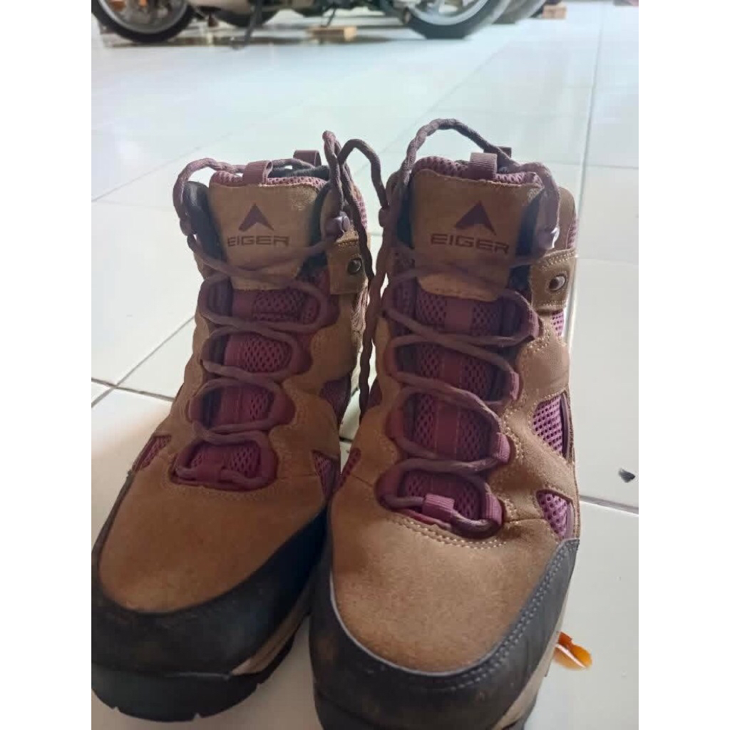 Eiger Series X-Tyranno Wonan