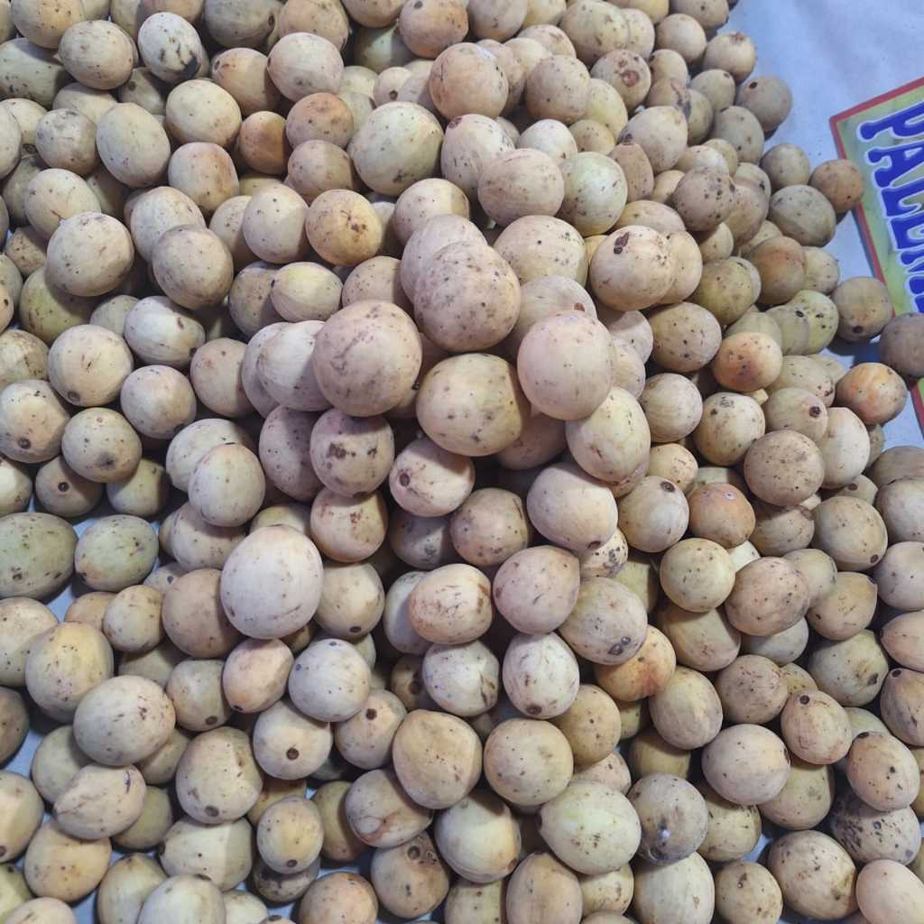 Duku 1kg Buah Segar Manis | Duku Fresh Kualitas Pilihan - Ready Stock Langsung diantar dari pasar an