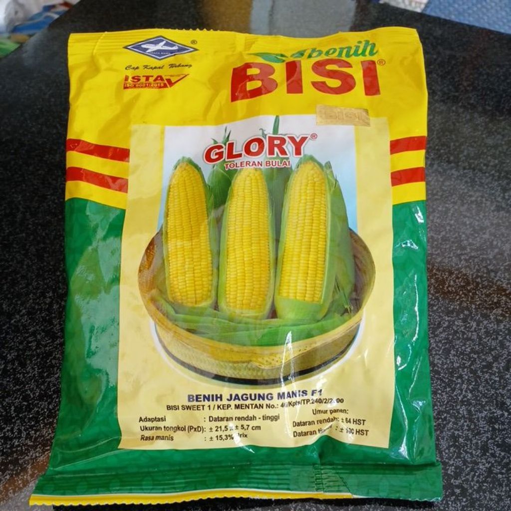 Benih Jagung Manis Glory