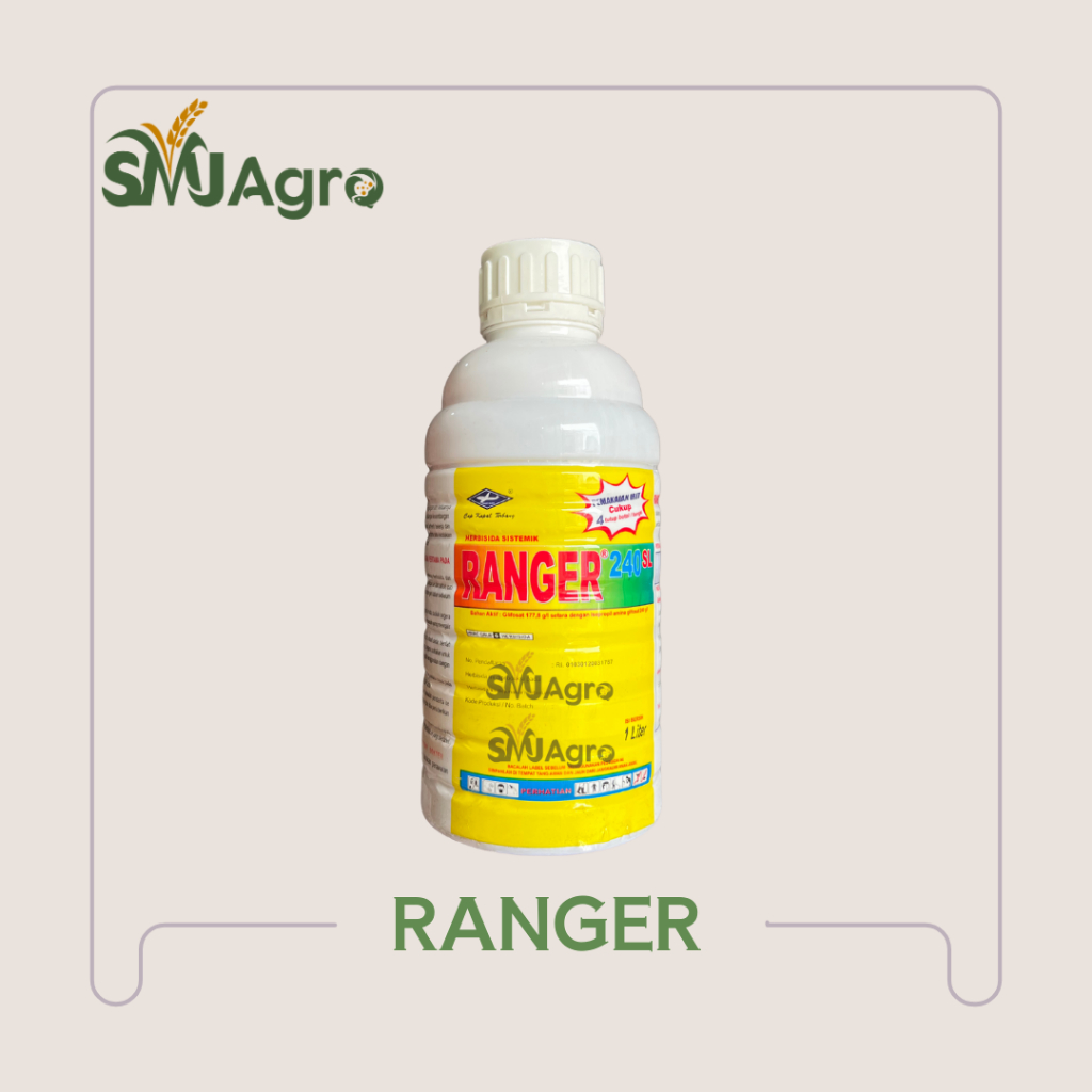 Ranger 240 SL | Herbisida Sistemik