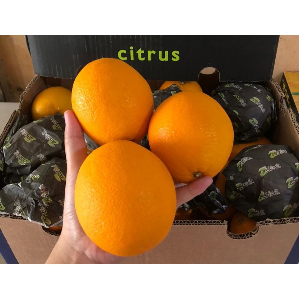 JERUK SUNKIST MESIR FRESH