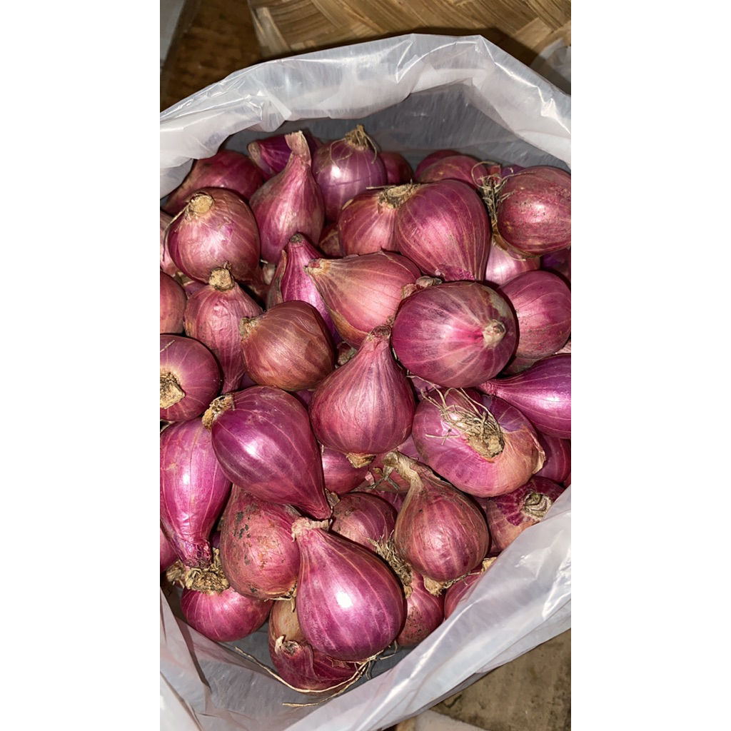Bawang merah Nganjuk 1 Kg