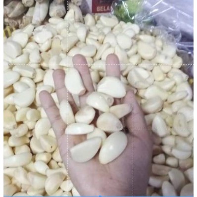 Bawang Putih Kupas bersih 1 Kg pasar induk