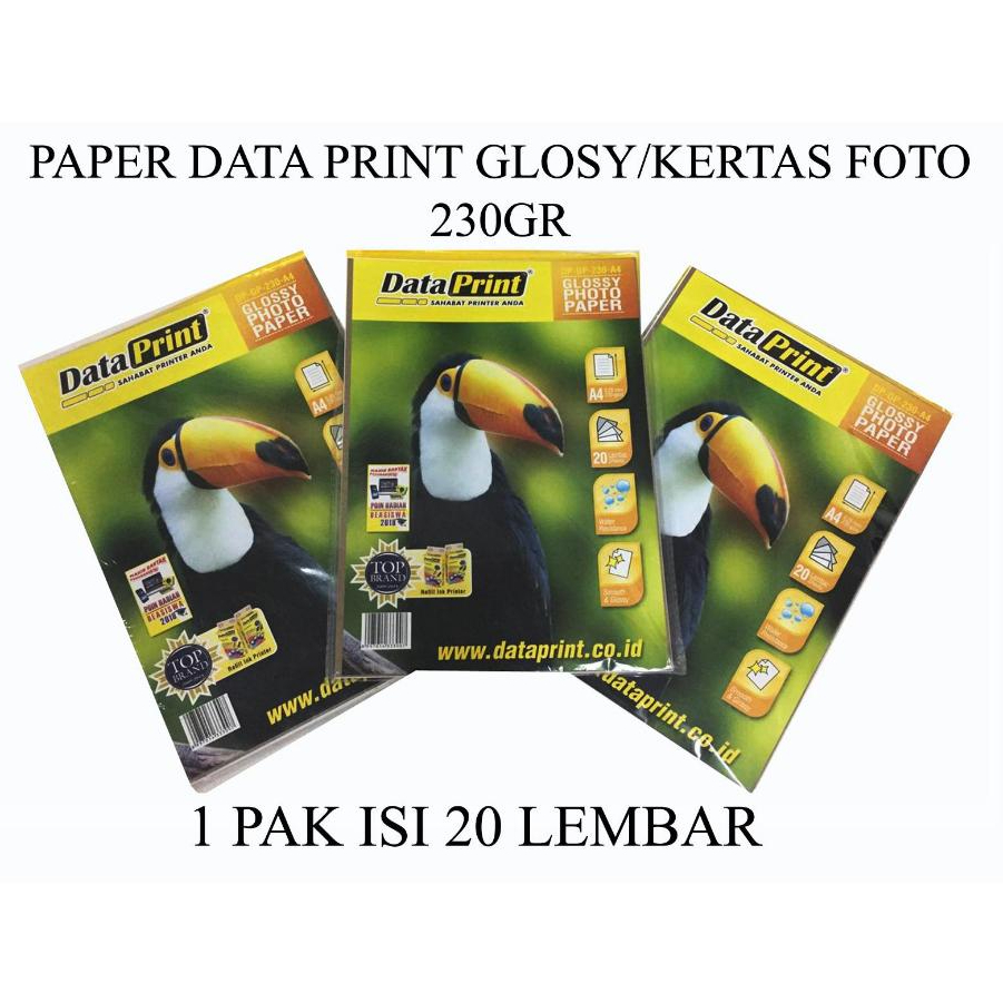 PAPER / KERTAS DATA PRINT 230 GRM