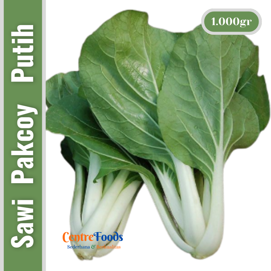 Sawi PakCoy Putih Segar - Sayur Sawi Jepang / Sawi Dakota Batang Putih Lokal Fresh | 1.000gr [ Harga