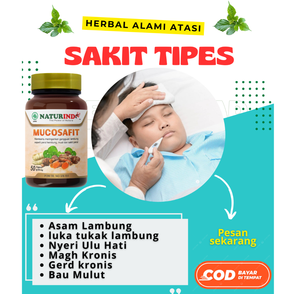 obat herbal tipes asam lambung sakit perut obat pencernaan obat tipes alami bpom