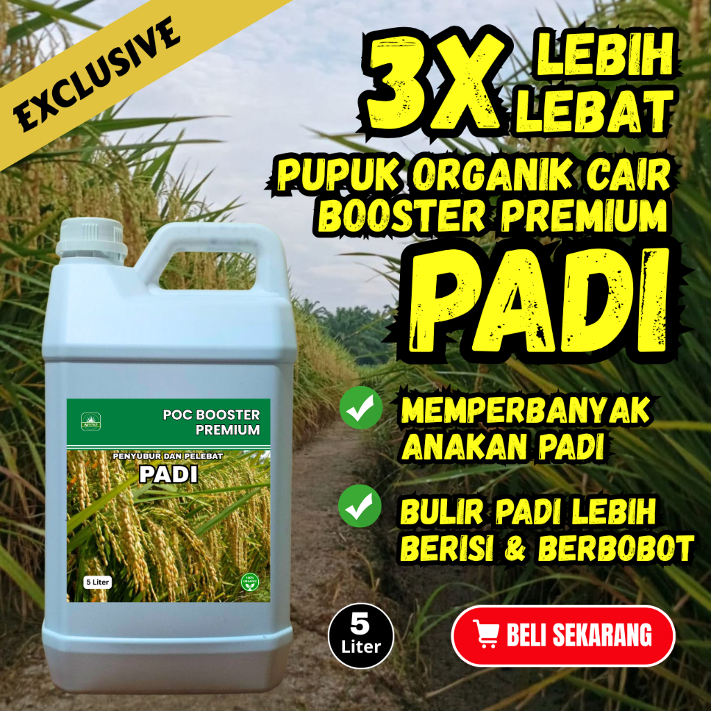 5 Liter Pupuk Organik Padi Cair Booster Memperbanyak Anakan Terbaik / Pupuk Padi Organik Plant Boost