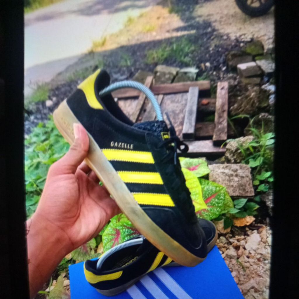 Gazele indor cw oslo