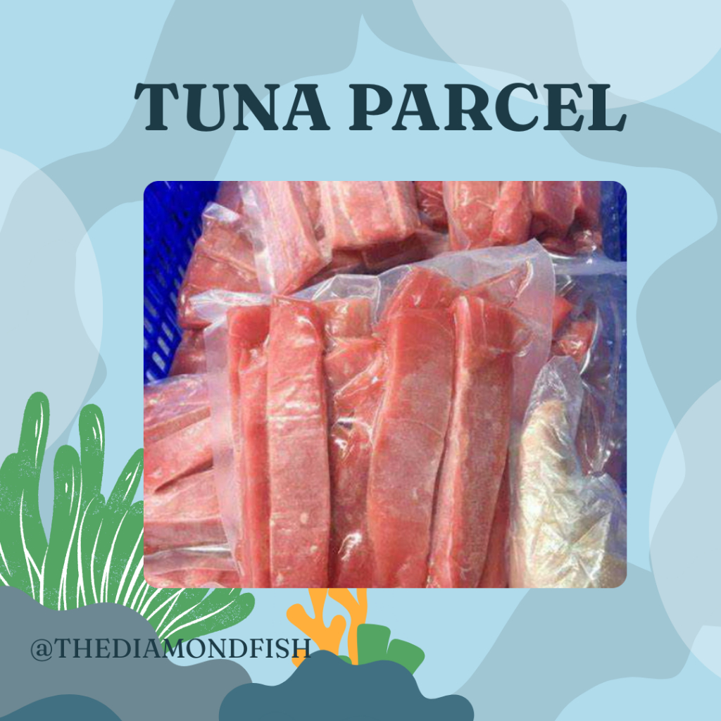 Tuna Parcel / Ikan Tuna Fillet Steak / Ikan Tuna / Premium Fresh Frozen