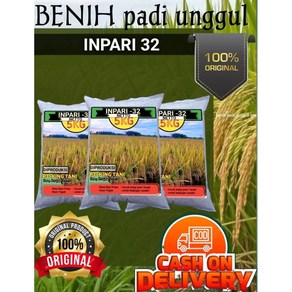 BENIH PADI INFARI 32 TERBARU 5KG