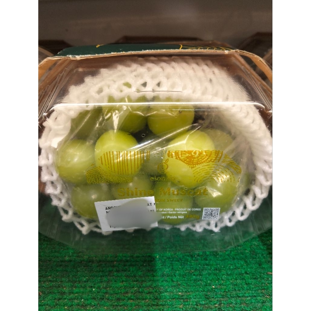 Shine Muscat Korea 450g Anggur Muscat Hijau Anggur Korea