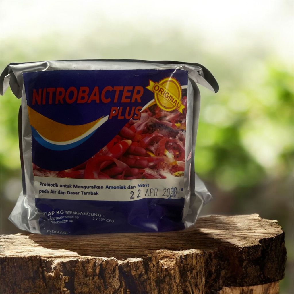 NITROBACTER PLUS 100GRAM  PROBIOTOK KOLAM KOI BIOFLOXOERYGINAL