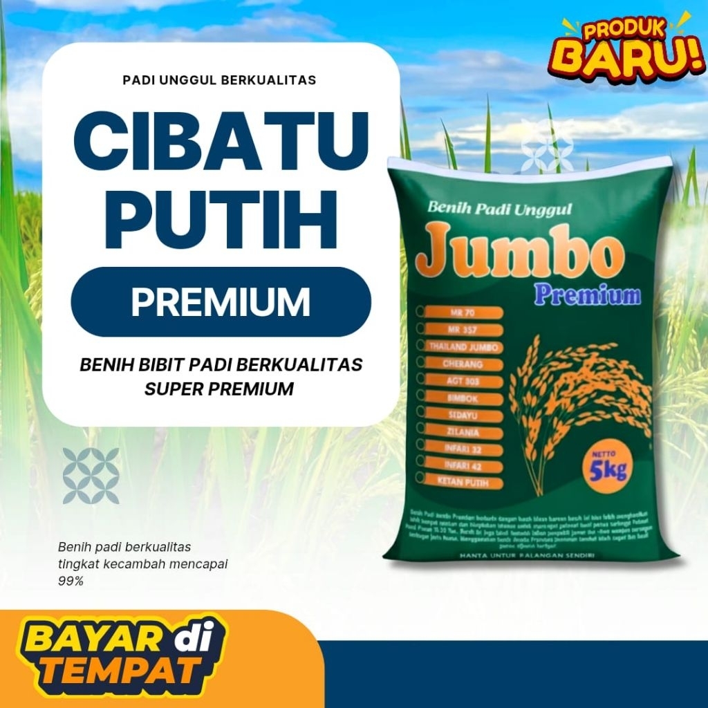 Cibatu putih kualitas boleh di coba