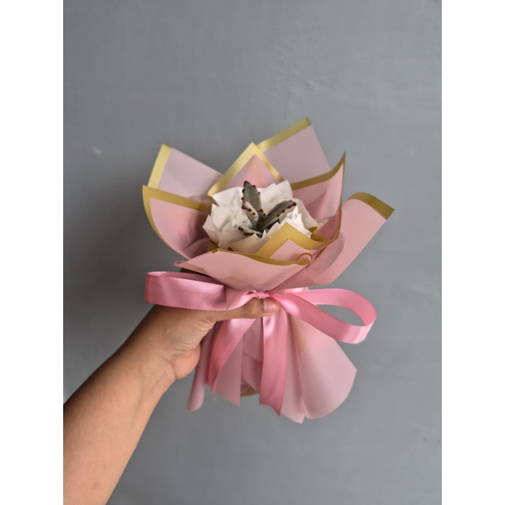 Bucket Kaktus Mini_Gift cewek cowok_bucket kado unik wisuda sempro ulang tahun valentin hari ibu dll