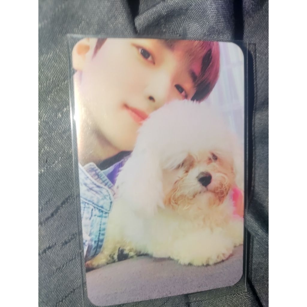 PHOTOCARD SANGYEON THE BOYZ POB WITHDRAMA 3 BENEFIT ALBUM THE CHASE TBZ WD GUGUK