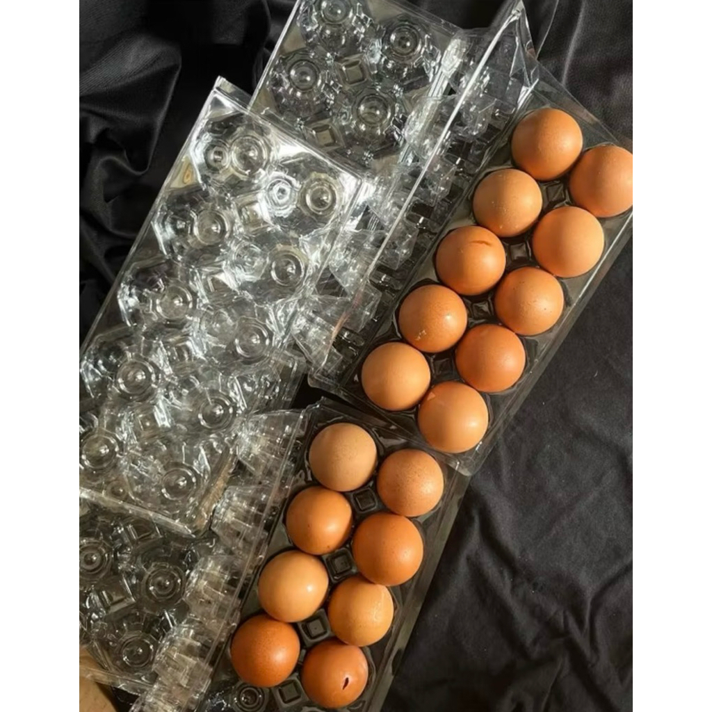 Mika Tray Telur Ayam Isi 10 Murah Berkualitas tanpa Kancing/ menggunakan steples