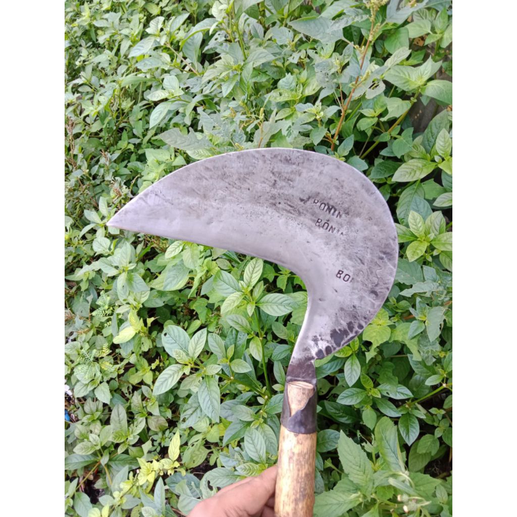 Arit Sabit Rumput BONIN Premium Baja Murni Sudah Asah - Alat Kebun Tani Panen Padi