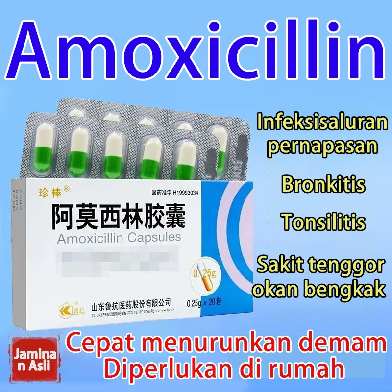Amoxilin Jiaonang  Bronkitis Tonsilitis Sakit tenggorokan bengkakEfektivitas Pengobatan Infeksi Pern