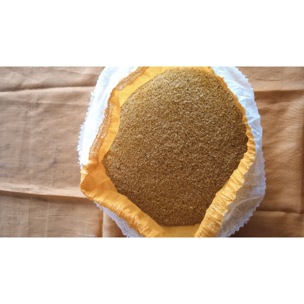 Bat Telur jangkrik Madu Kunyit 1kg Berkualitas dan bergaransi