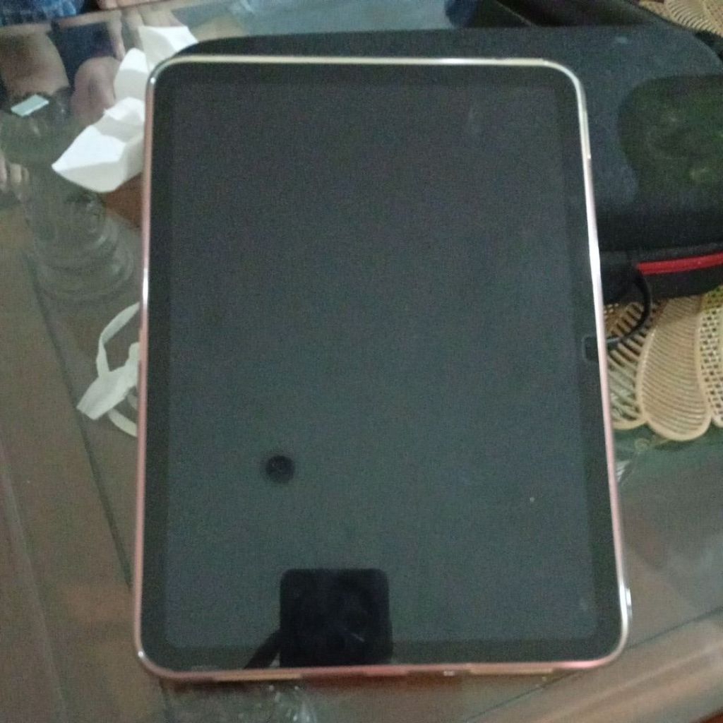 Ipad mini 256gb