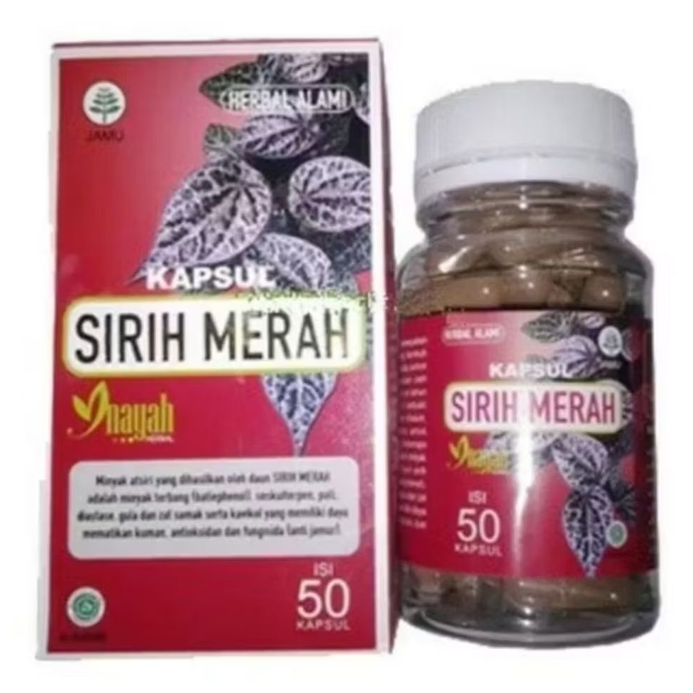 Kapsul Ekstrak Daun Sirih Merah Inayah 50 Kapsul