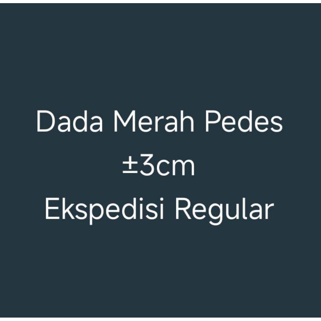 Hiasan Dada Merah Pedes | Damer Pedes