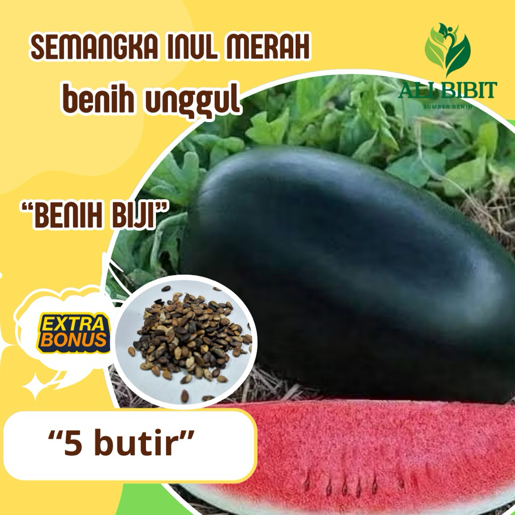 5 Butir > Benih Biji Semangka Inul Merah> Bibit Semangka Inul >Bonus Benih