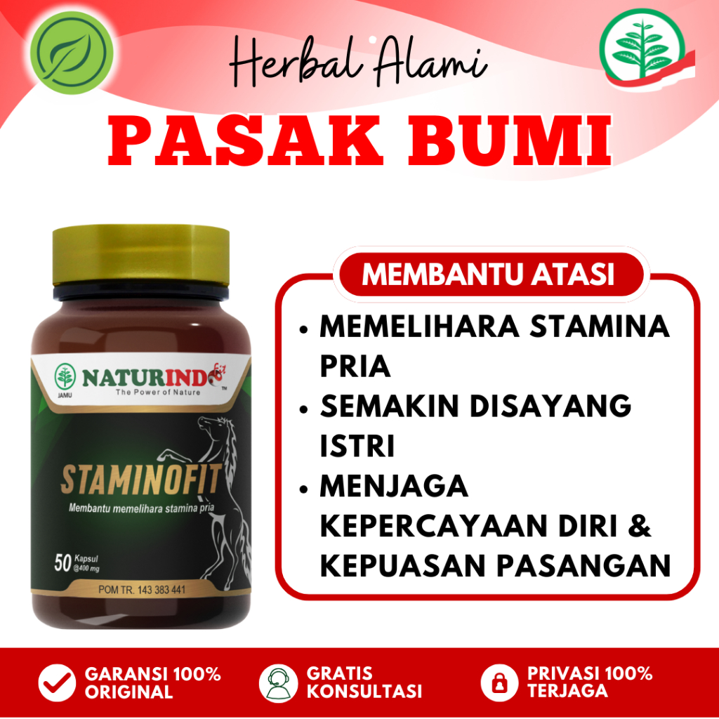 STAMINOFIT Herbal Pasak Bumi Suplemen Pria Dewasa Membantu Memelihara Stamina Pria NATURINDO