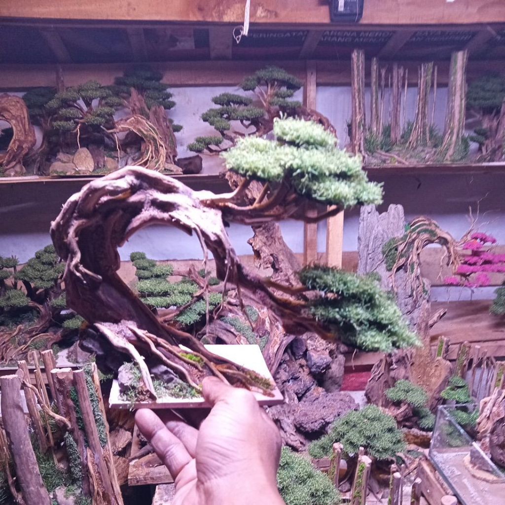 bonsai sintetis