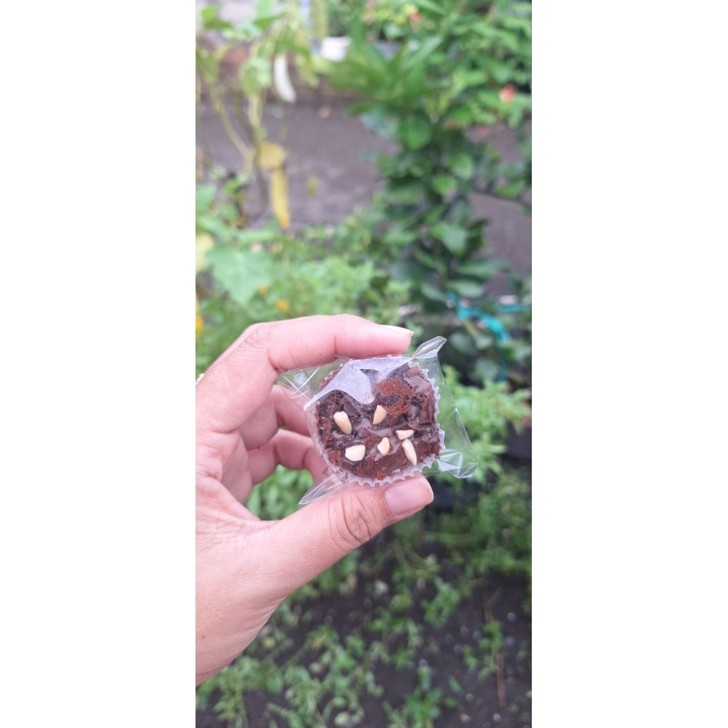 fudgy brownies mini cup