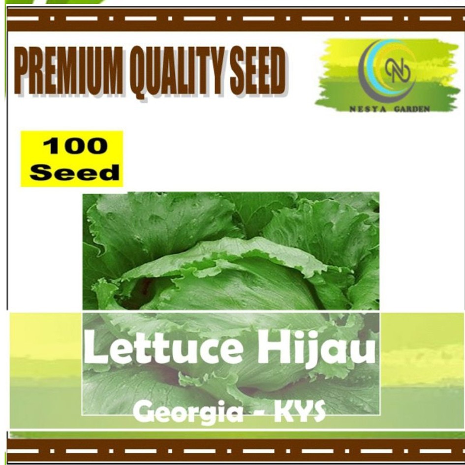 100 Benih Lettuce Hijau Georgia Selada Lettuce Hijau Benih Sayur - Benih Sayuran