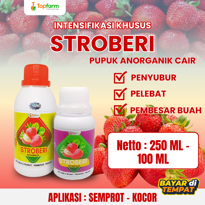 Pupuk organik pemicu buah strobery cepat berbuah lebat / Pupuk semprot organik strawberry subur & be