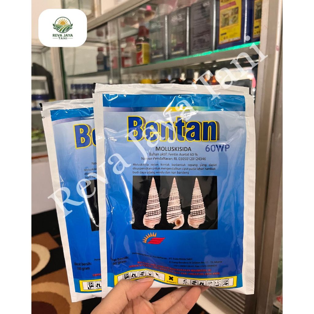 Bentan 45/60/80WP 100 gram Fentin Asetat Moluskisida Obat Keong Siput