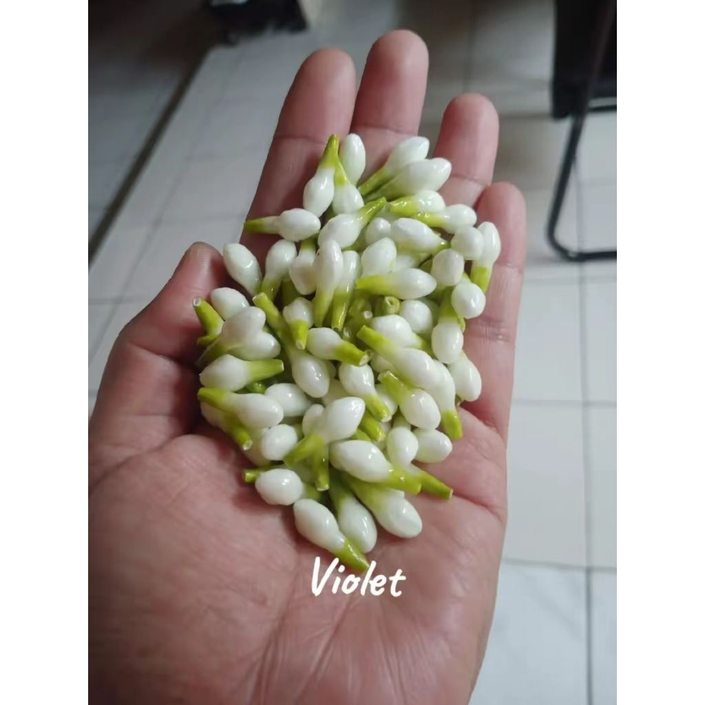 Melati imitasi premium