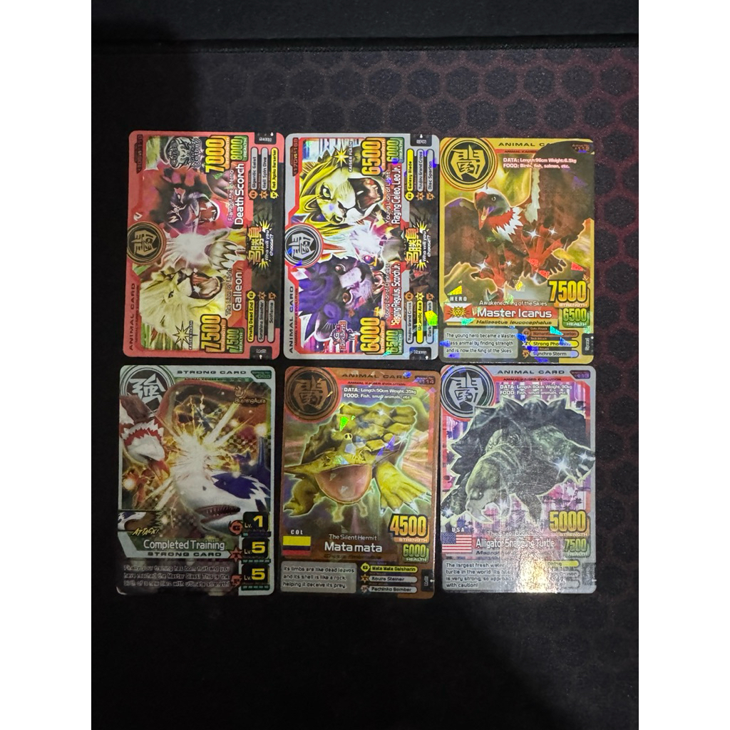 Kartu Animal Kaiser KW