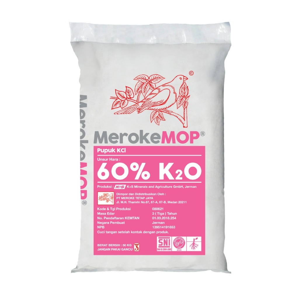 Meroke MOP