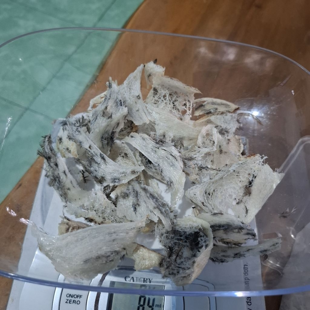 Sarang Burung Walet Patahan Kotor Asli 100%