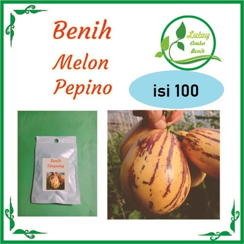 Bibitmu - 1 Pack Isi 100 Benih Melon Pepino Aneka Benih Bibit Biji Berkualitas Unggulan Sayur dan Bu