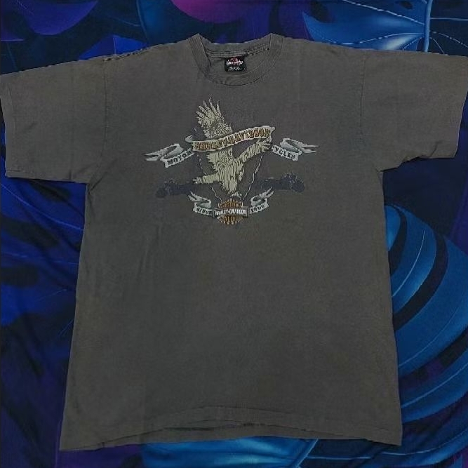 Harley Davidson Wausau Visconsin Vintage Tshirt