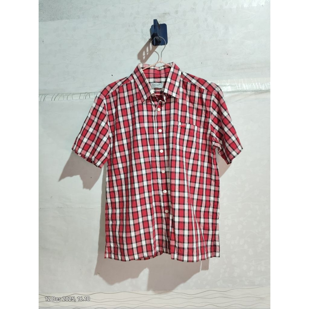 kemeja pria crocodile