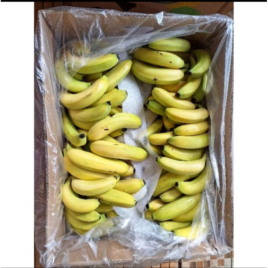 Pisang Cavendish Sunpride Fresh / Pisang Sunpride  13 Kg / Dus