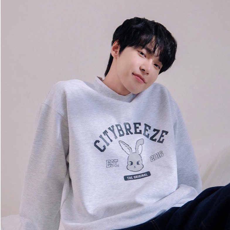 HOODIE CITYBREEZE DOYOUNG NCT 127 ORIGINAL 100%  SWEATER OATMEAL M OVERSIZE NYAMAN