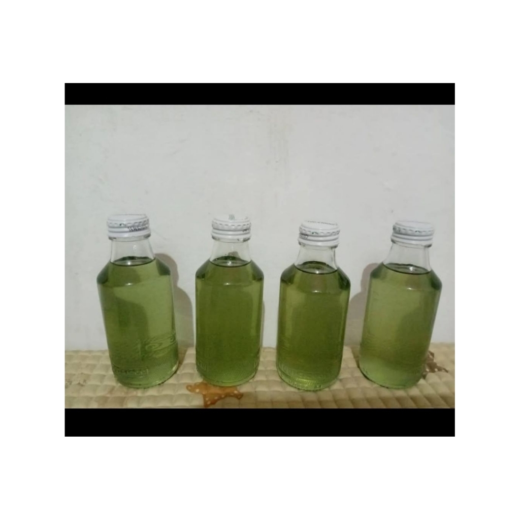 Minyak Kayu Putih Asli Pulau Buru Namlea