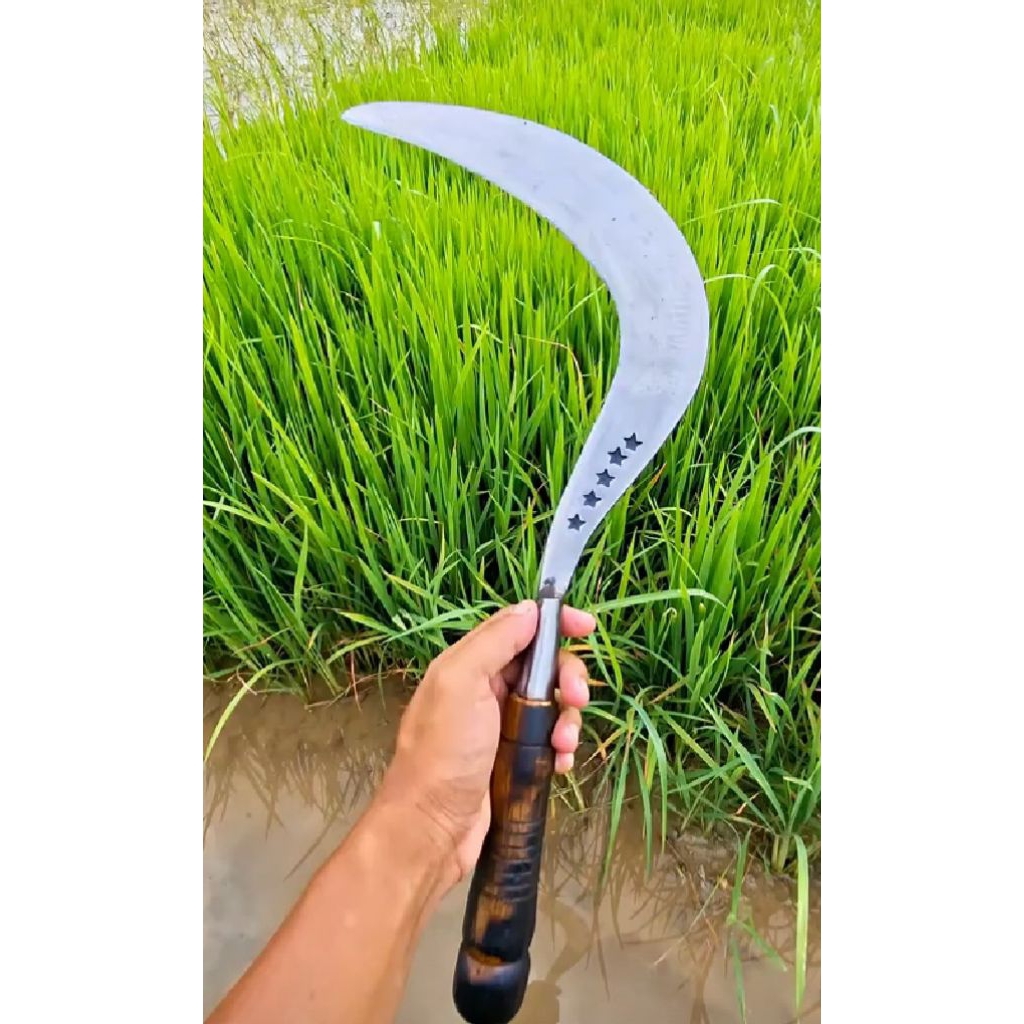 SABI ARIT BUAT CARI RUMPUT DAN PANEN 0ADI BAHAN BAJA PER MOBIL