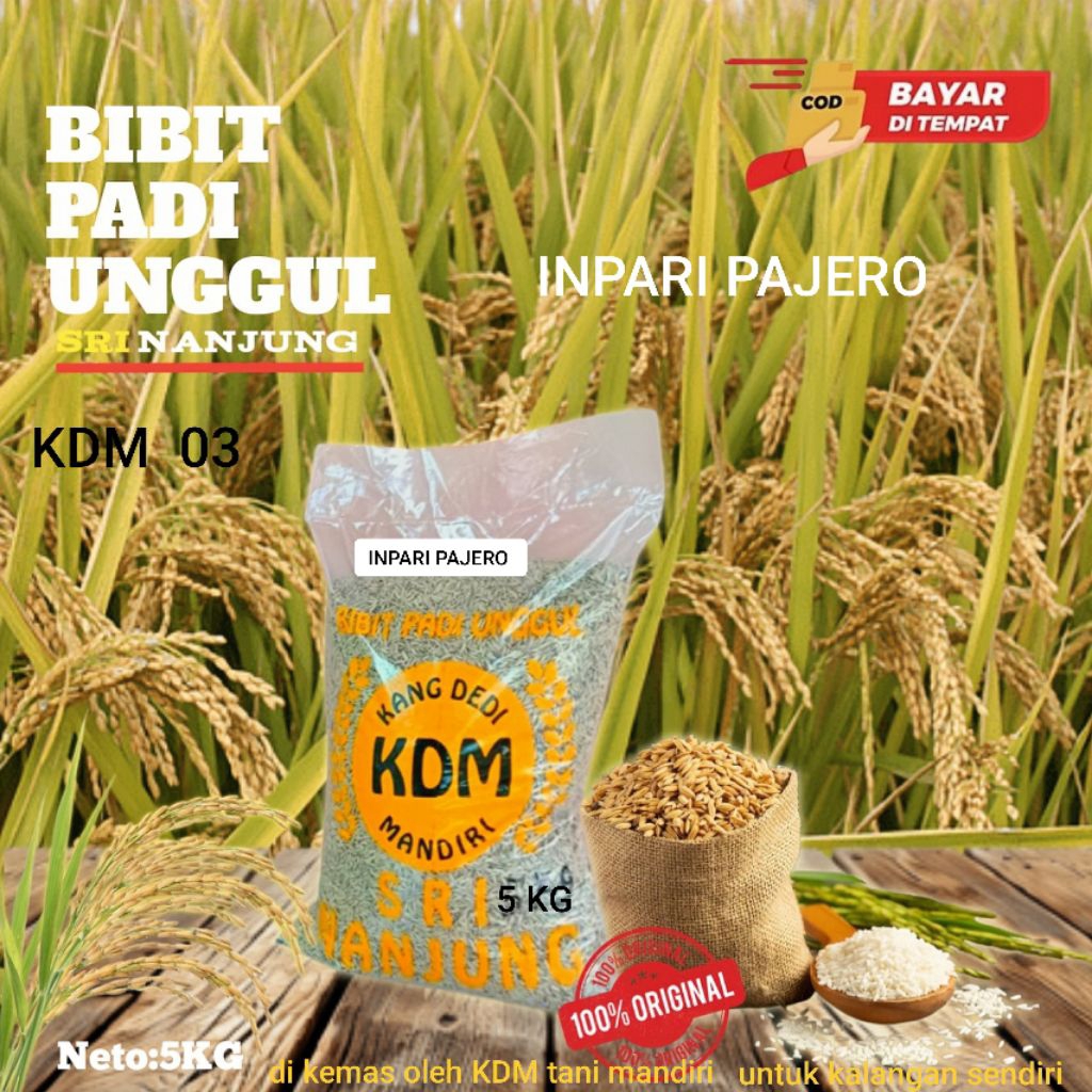 BIBIT PADI BENIH PADI INPARI PAJERO KEMASAN 5 KG BIBIT PADI UNGGIL