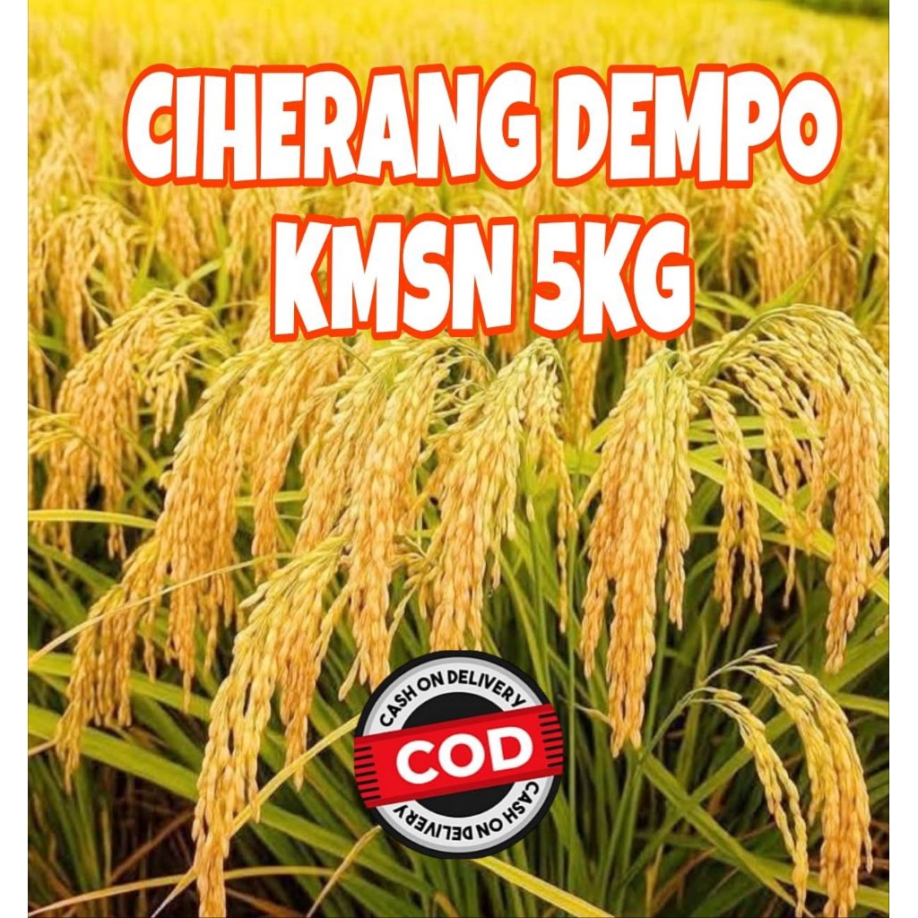BENIH PADI CIHERANG DEMPO KEMASAN 5KG