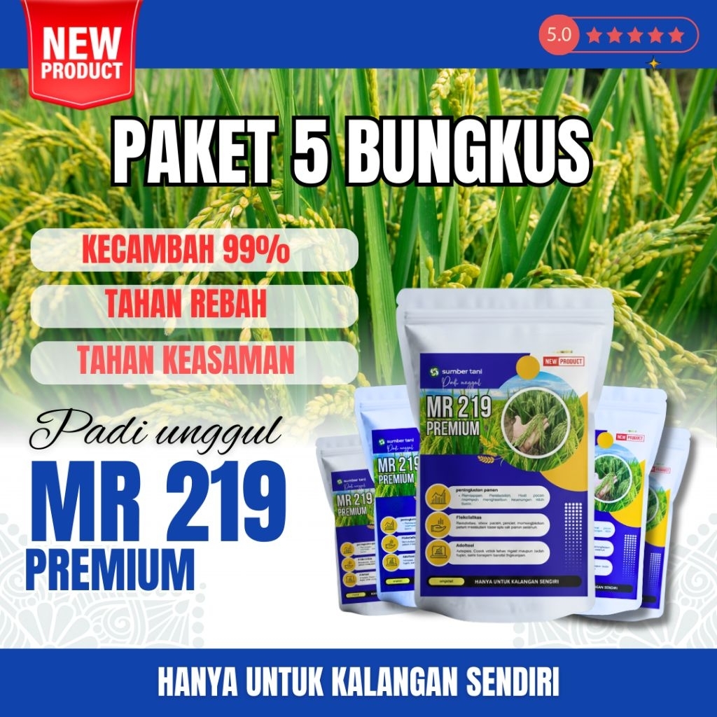 BENIH PADI MR 219 ASLI KEMASAN 5KG ( benih padi mr 219 umur 85-95 hst)