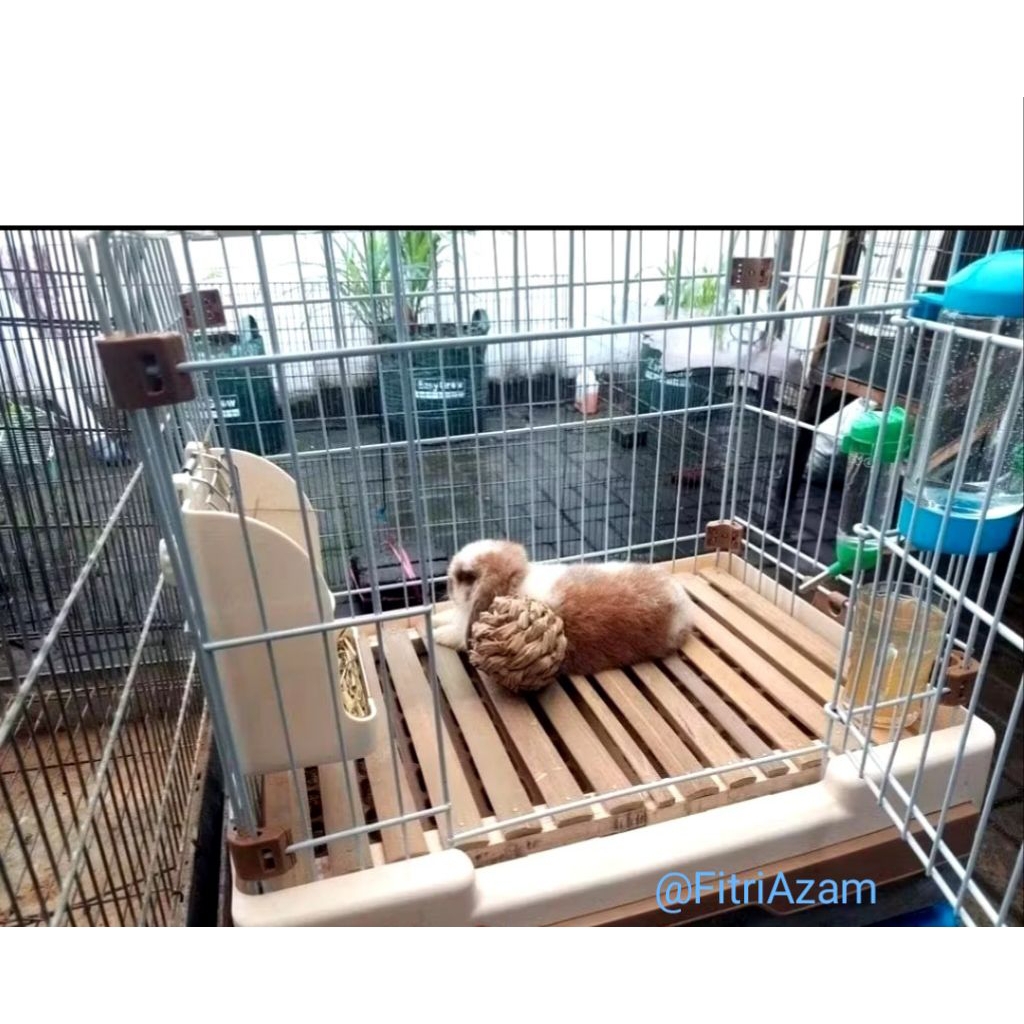 ALAS KANDANG BAMBU FOOTREST UNTUK KELINCI, KUCING, REFTILE